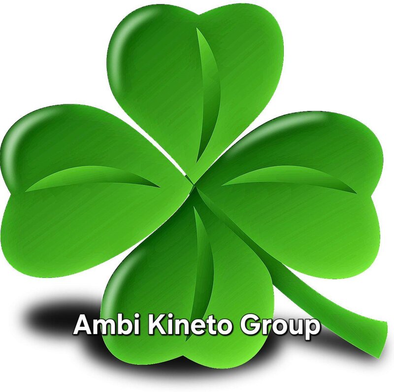 Ambi Kineto Group - Recuperare medicala